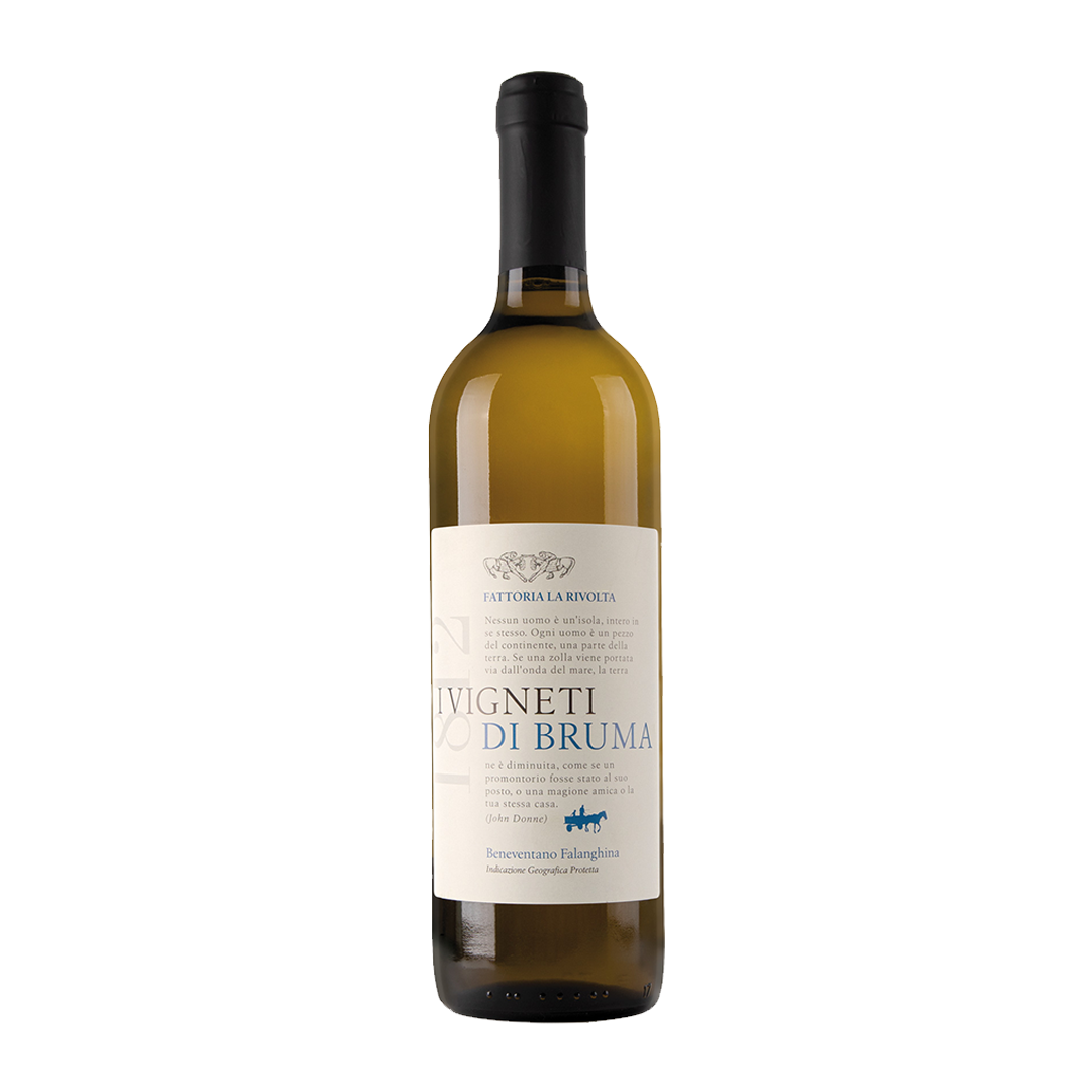 Falanghina IGP 2024 - vinho italiano | Italy Import