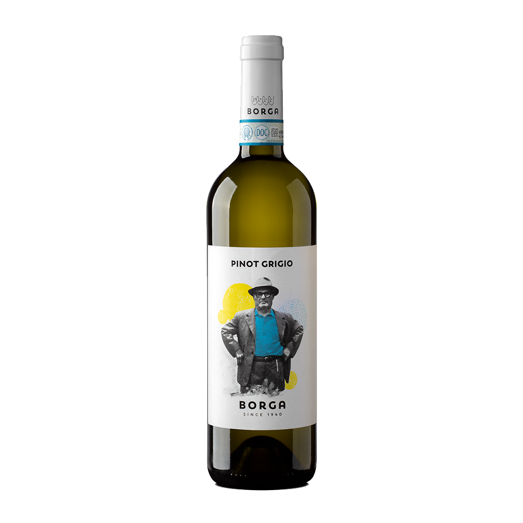 Pinot Grigio delle Venezie DOC 2024 - vinho italiano | Italy Import
