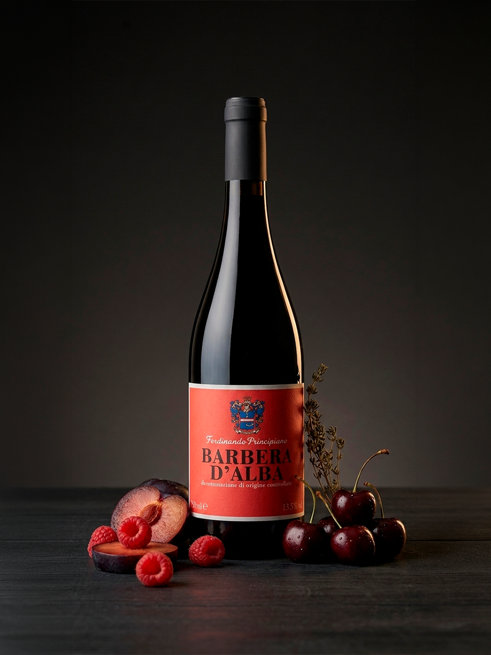 Barbera D'Alba 2022 - vinho italiano | Italy Import