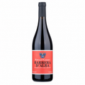 Barbera D'Alba 2022 — vinho tinto da Ferdinando Principiano | Italy Import