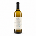 Falanghina IGP 2024 — vinho branco da Fattoria La Rivolta | Italy Import