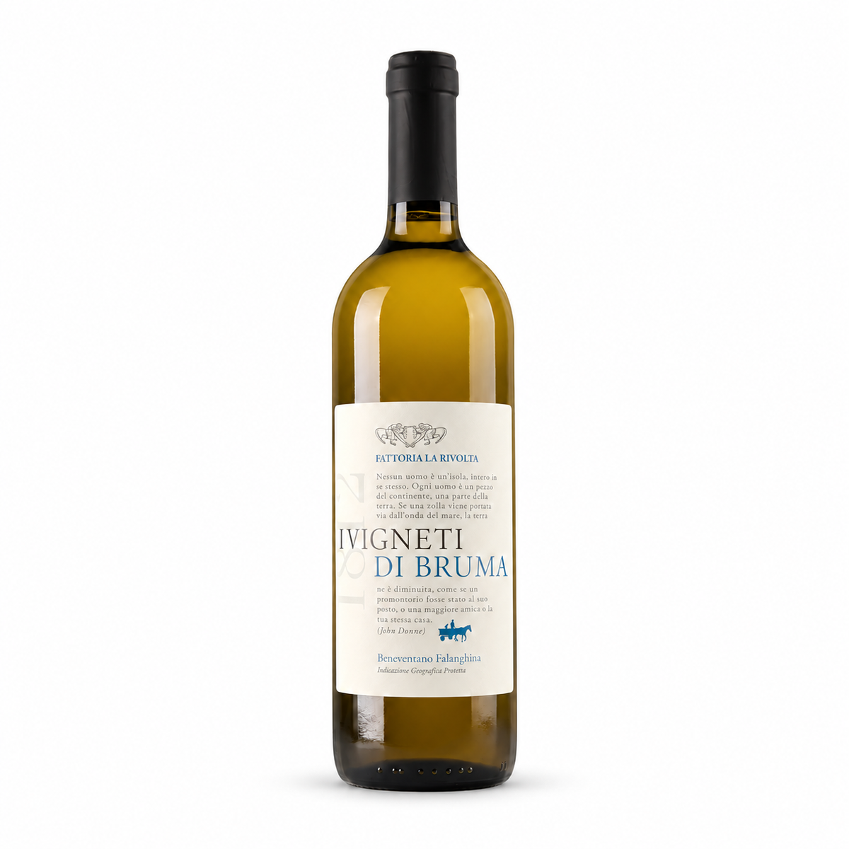 Falanghina IGP 2024 — vinho branco da Fattoria La Rivolta | Italy Import