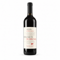 Aglianico IGP 2023 — vinho tinto da Fattoria La Rivolta | Italy Import