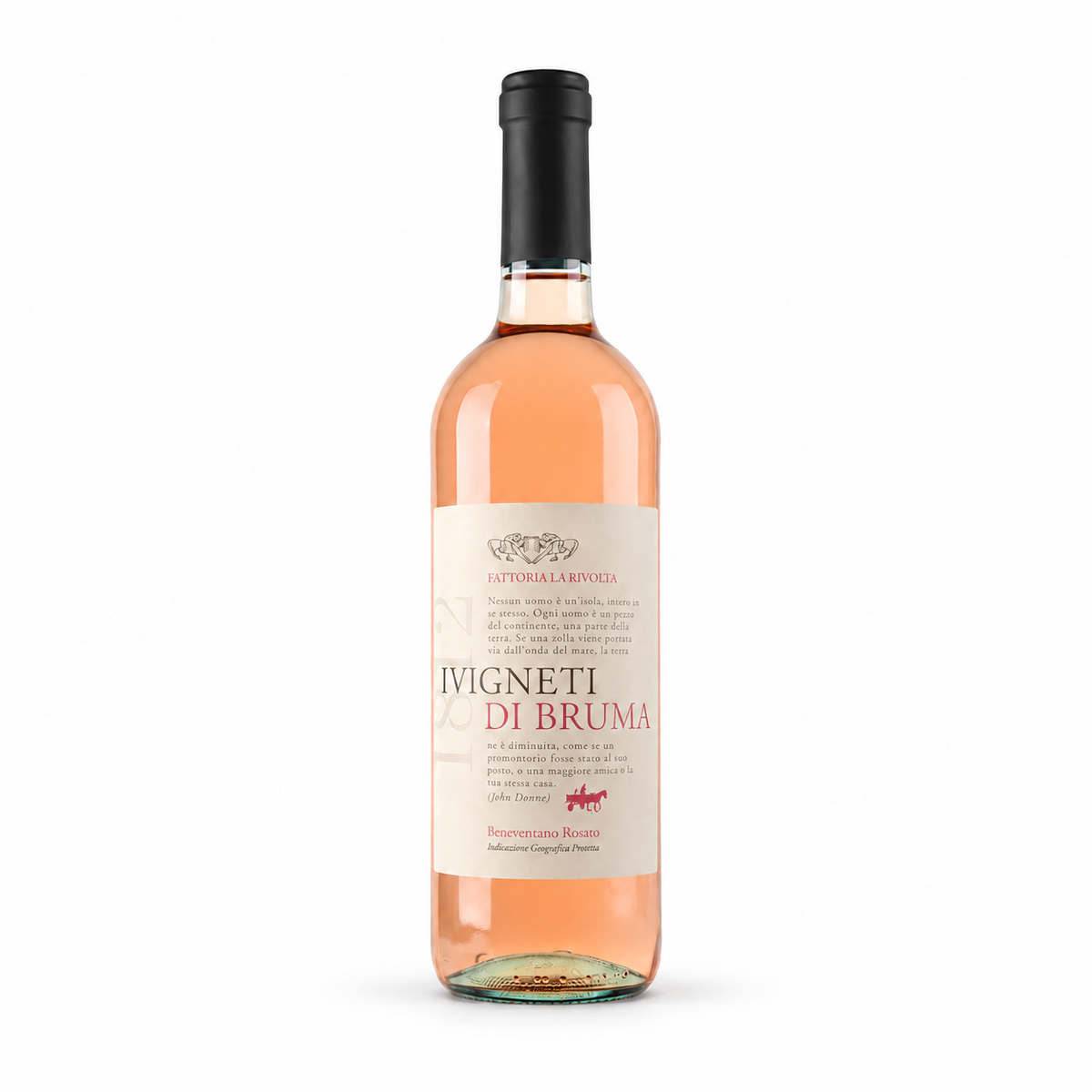 Rosato Aglianico IGP 2023 — vinho rosé da Fattoria La Rivolta | Italy Import