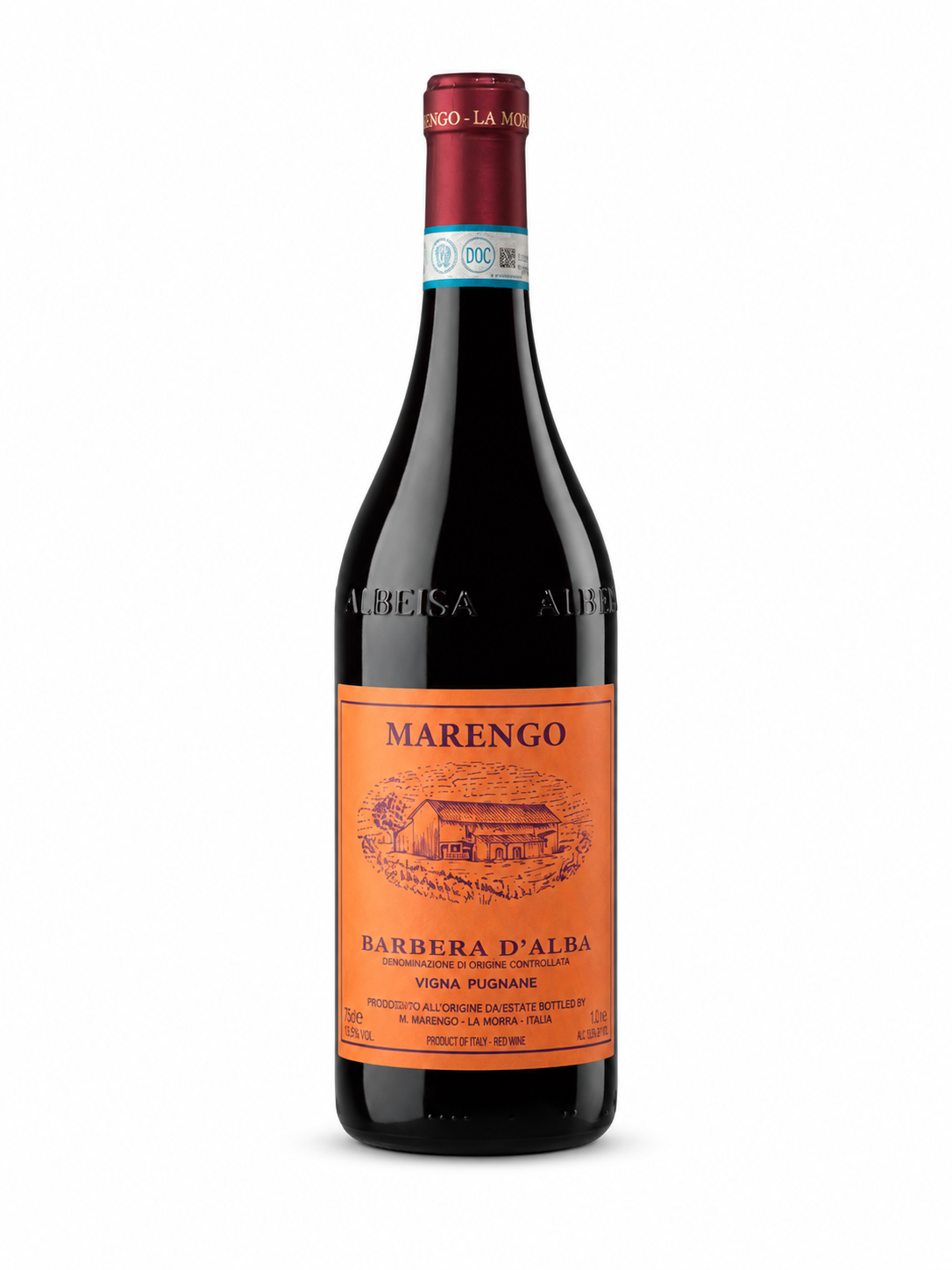 Barbera D'Alba Vigna Pugnane 2022 — vinho tinto da Mario Marengo | Italy Import
