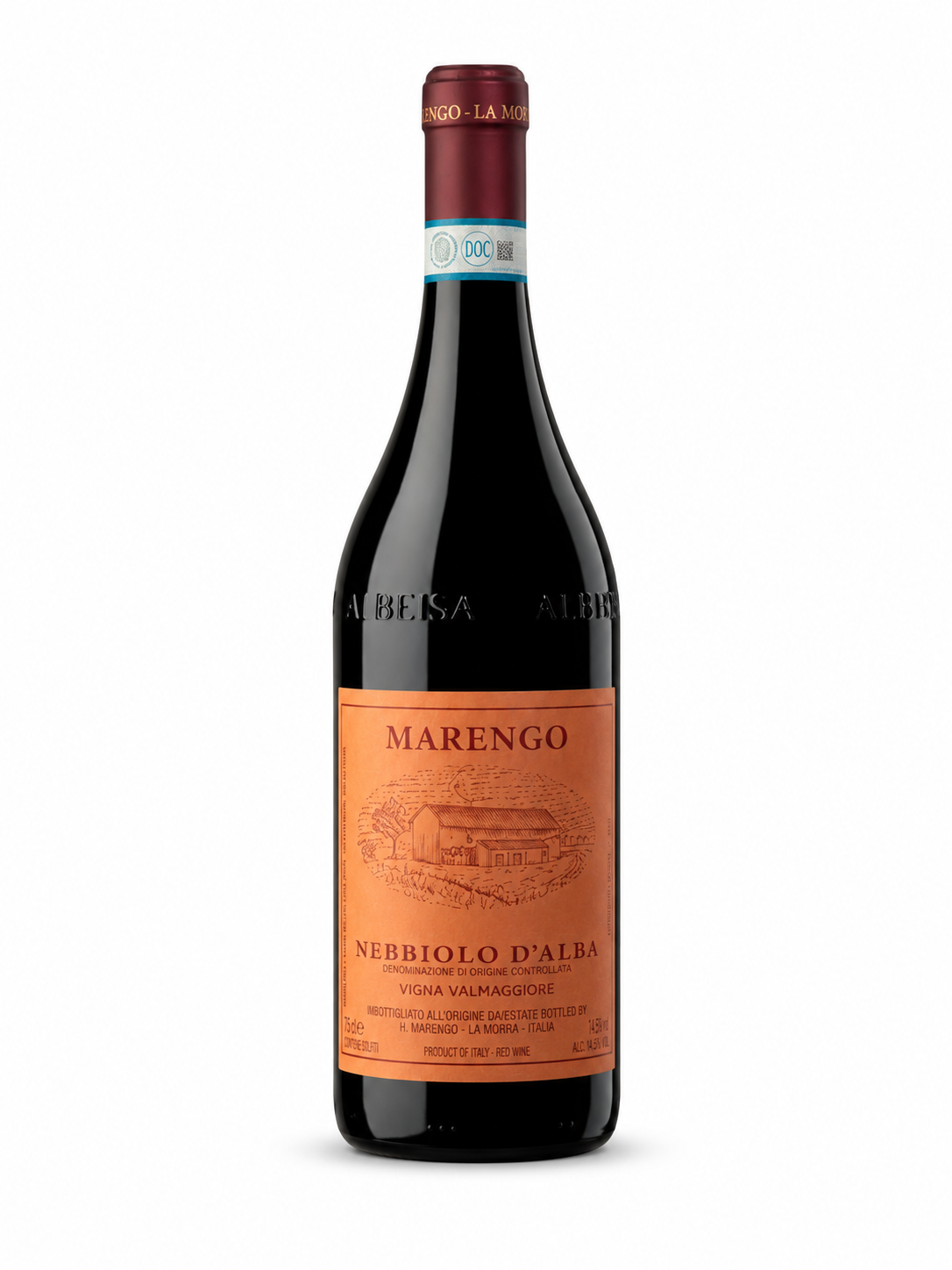 Nebbiolo D'Alba Vigna Valmaggiore 2024 — vinho tinto da Mario Marengo | Italy Import