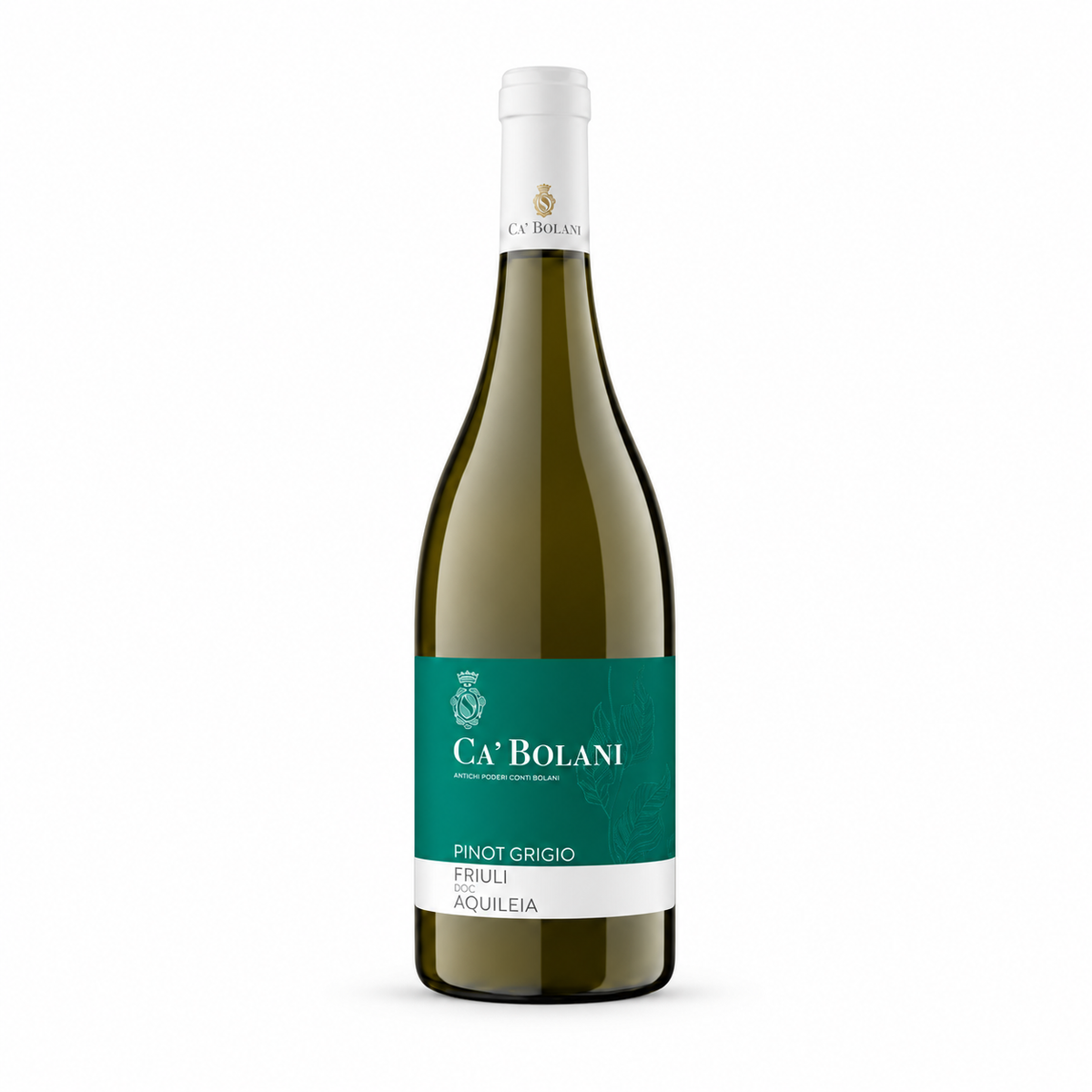 Pinot Grigio Friuli DOC 2024 — vinho branco da Cà Bolani | Italy Import