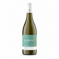 Traminer Friuli DOC 2023 — vinho branco da Cà Bolani | Italy Import