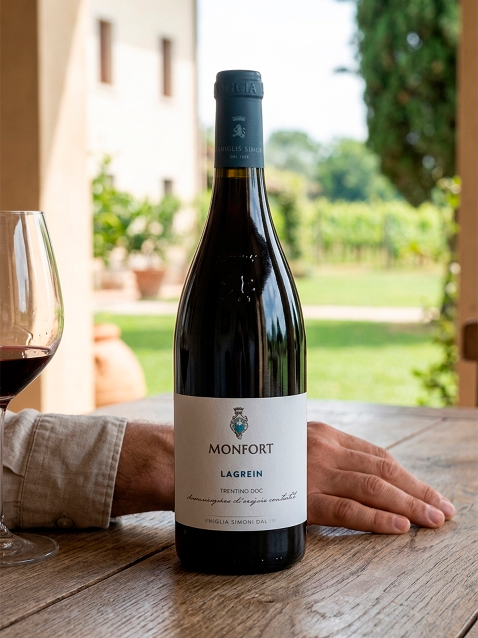 Lagrein Trentino DOC 2022 - vinho italiano | Italy Import