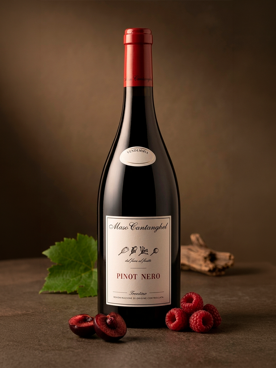 Pinot Noir Maso Cantanghel 2023 - vinho italiano | Italy Import