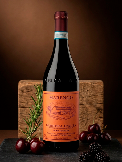 Barbera D'Alba Vigna Pugnane 2022 — vinho tinto da Mario Marengo (foto 2) | Italy Import