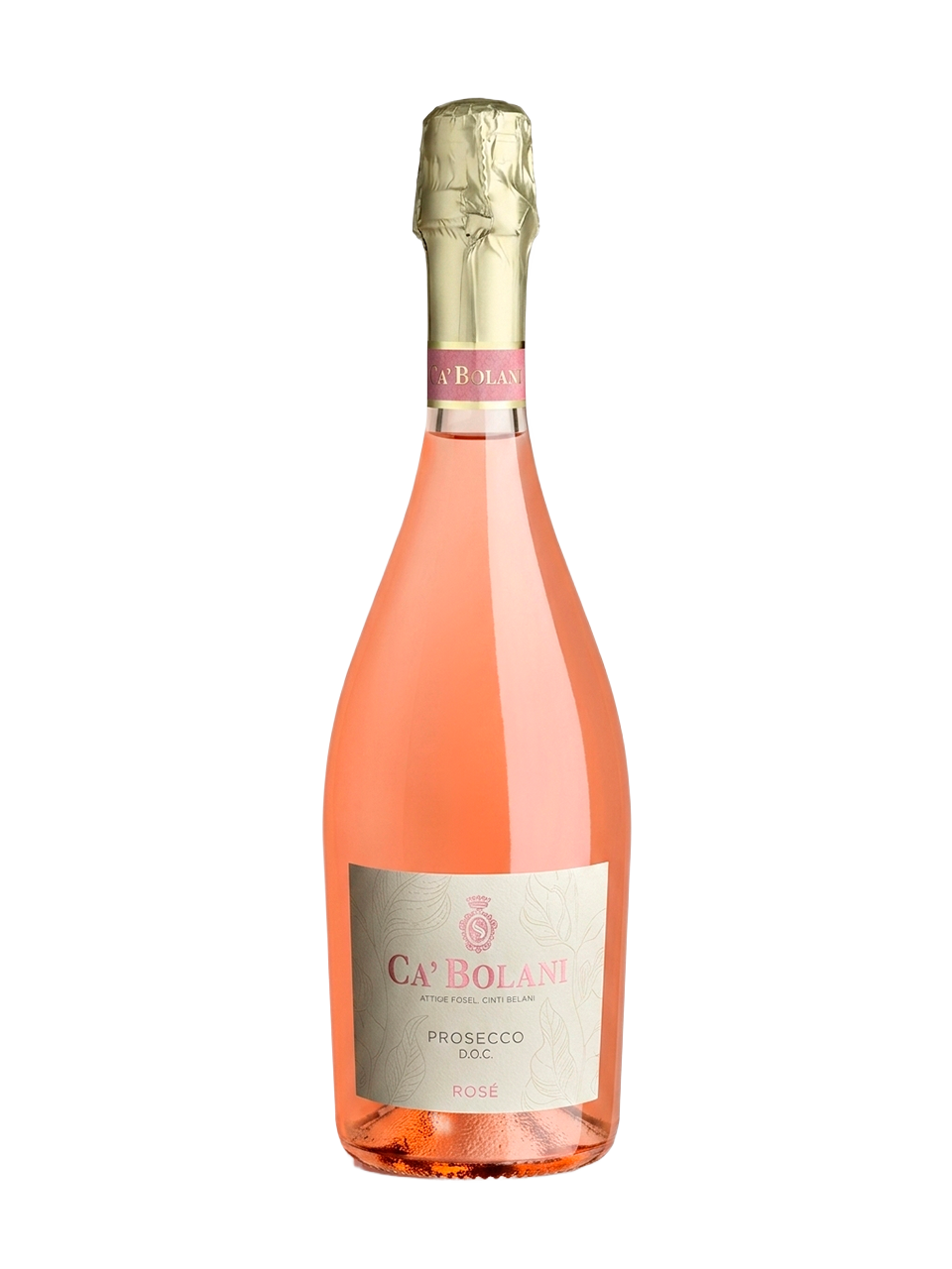 Prosecco Rosé DOC Brut - vinho italiano | Italy Import