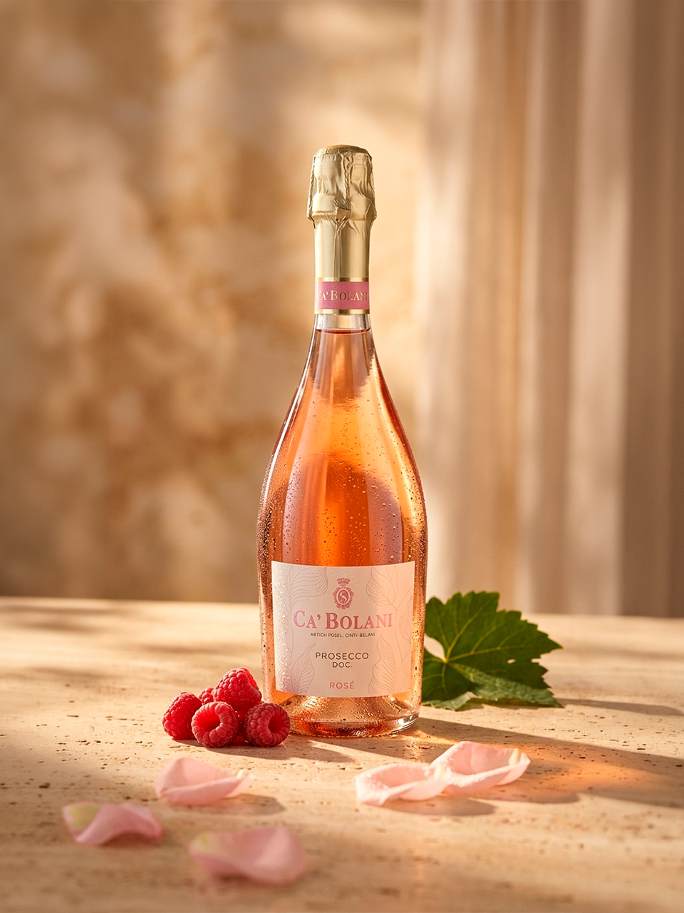 Prosecco Rosé DOC Brut - vinho italiano | Italy Import