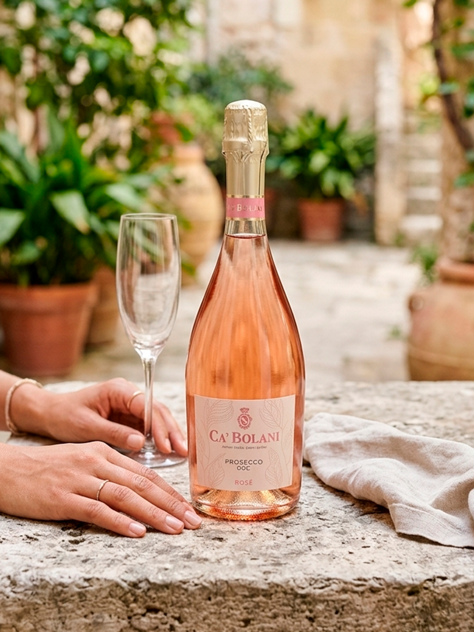 Prosecco Rosé DOC Brut - vinho italiano | Italy Import