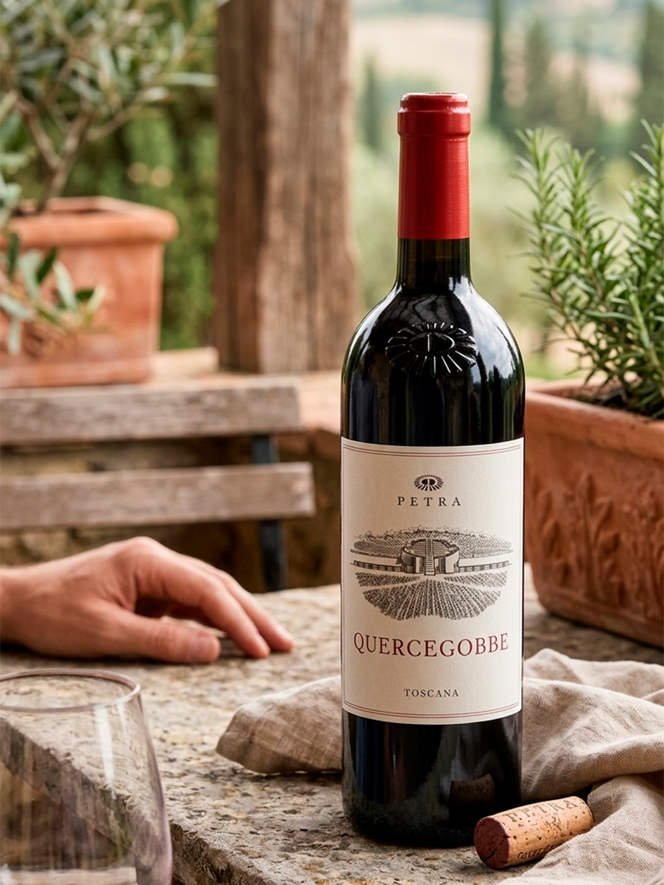 Quercegobbe 2023 - vinho italiano | Italy Import