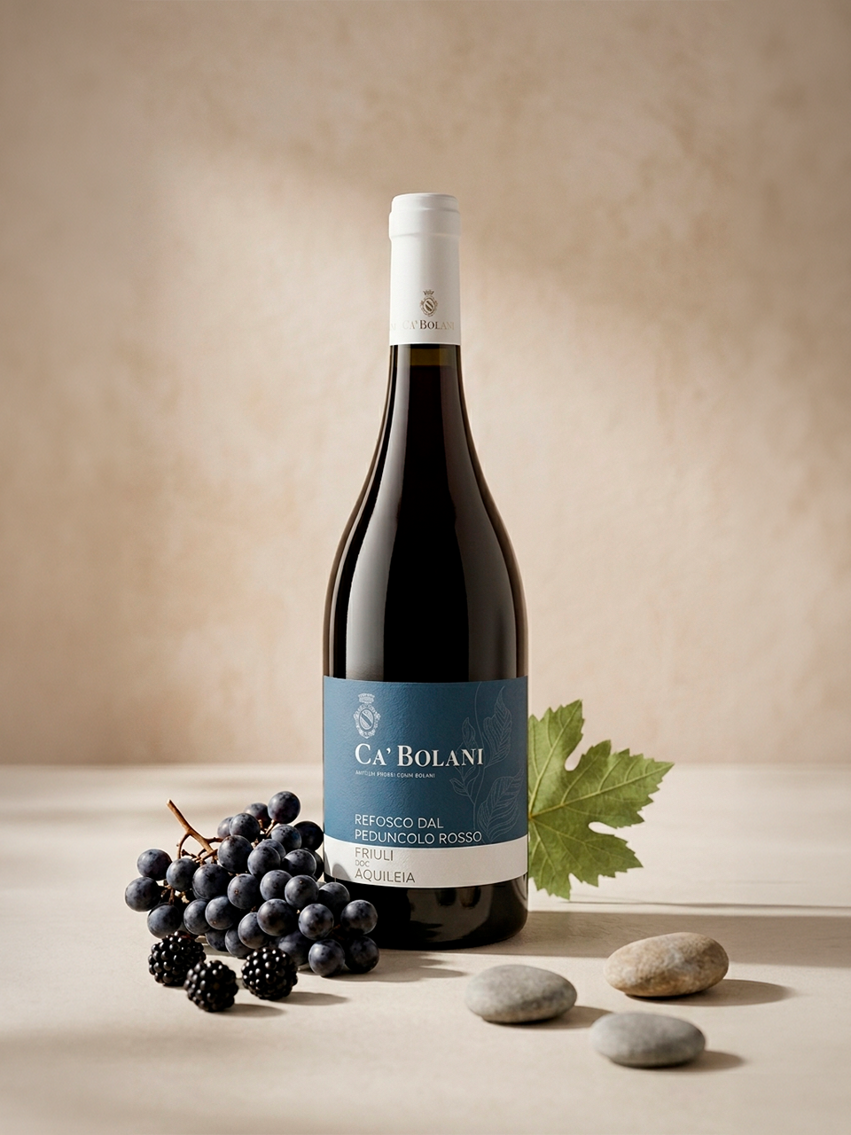 Refosco dal Peduncolo Rosso 2022 - vinho italiano | Italy Import