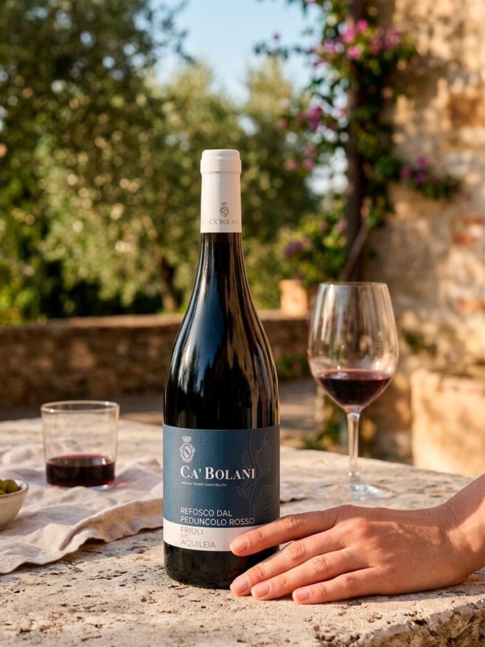 Refosco dal Peduncolo Rosso 2022 - vinho italiano | Italy Import