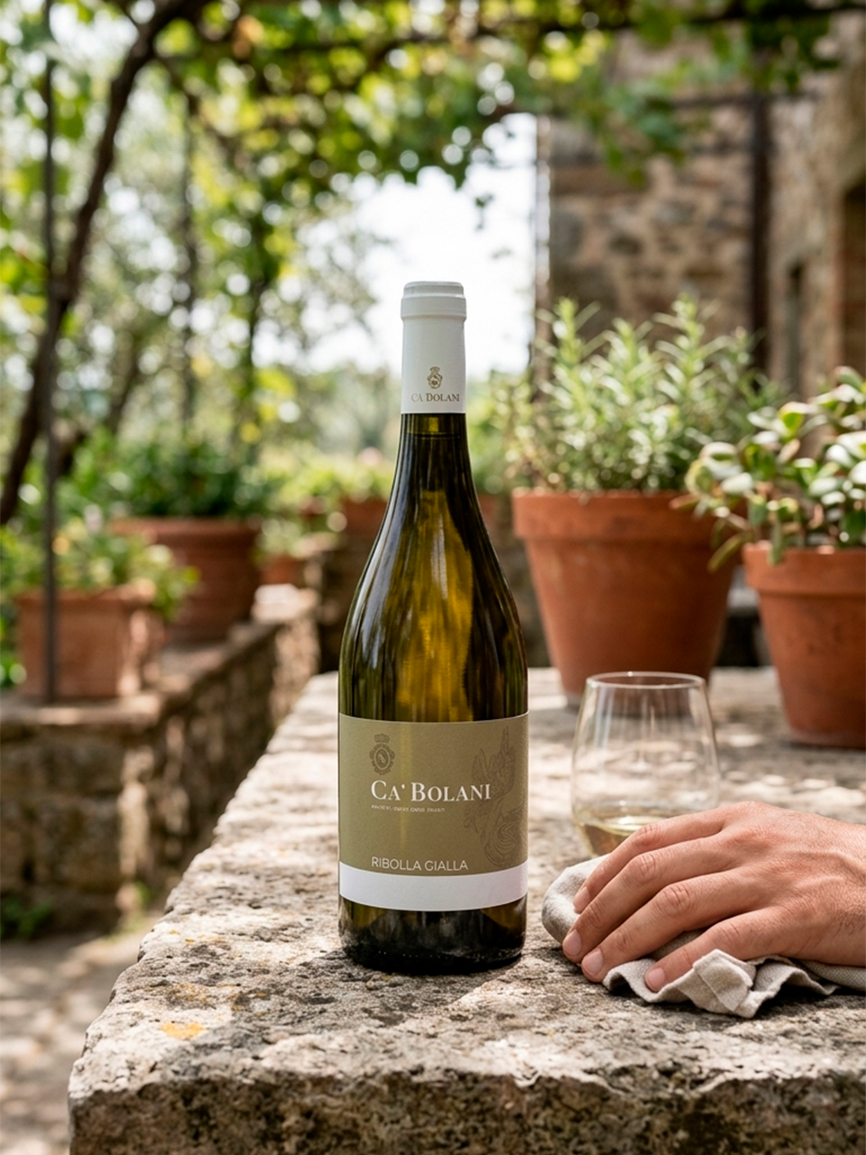 Ribolla Gialla IGT 2024 - vinho italiano | Italy Import