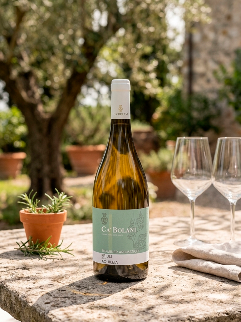 Traminer Friuli DOC 2023 - vinho italiano | Italy Import