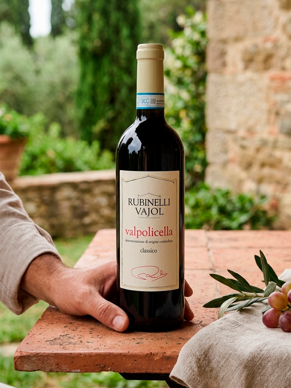 Valpolicella Classico DOCG 2023 - vinho italiano | Italy Import