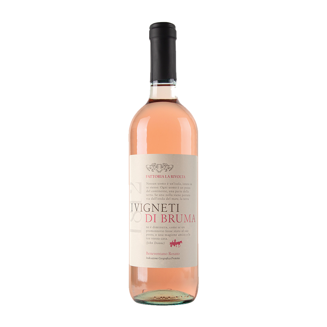 Rosato Aglianico IGP 2023 - vinho italiano | Italy Import